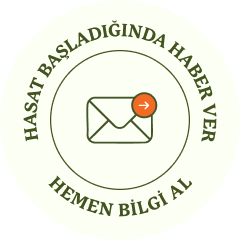 Portakal Bahçem