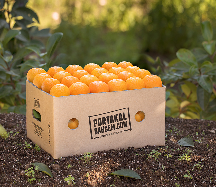 Mini Klemantin Mandalina 3 Kg