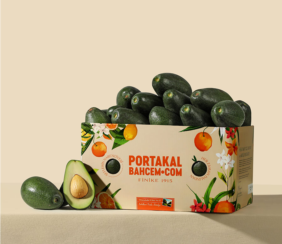 Avokado 1,5 Kg