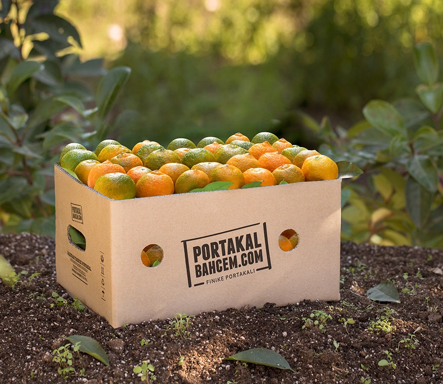 İlk Hasat Tatlı Lime 2 Kg