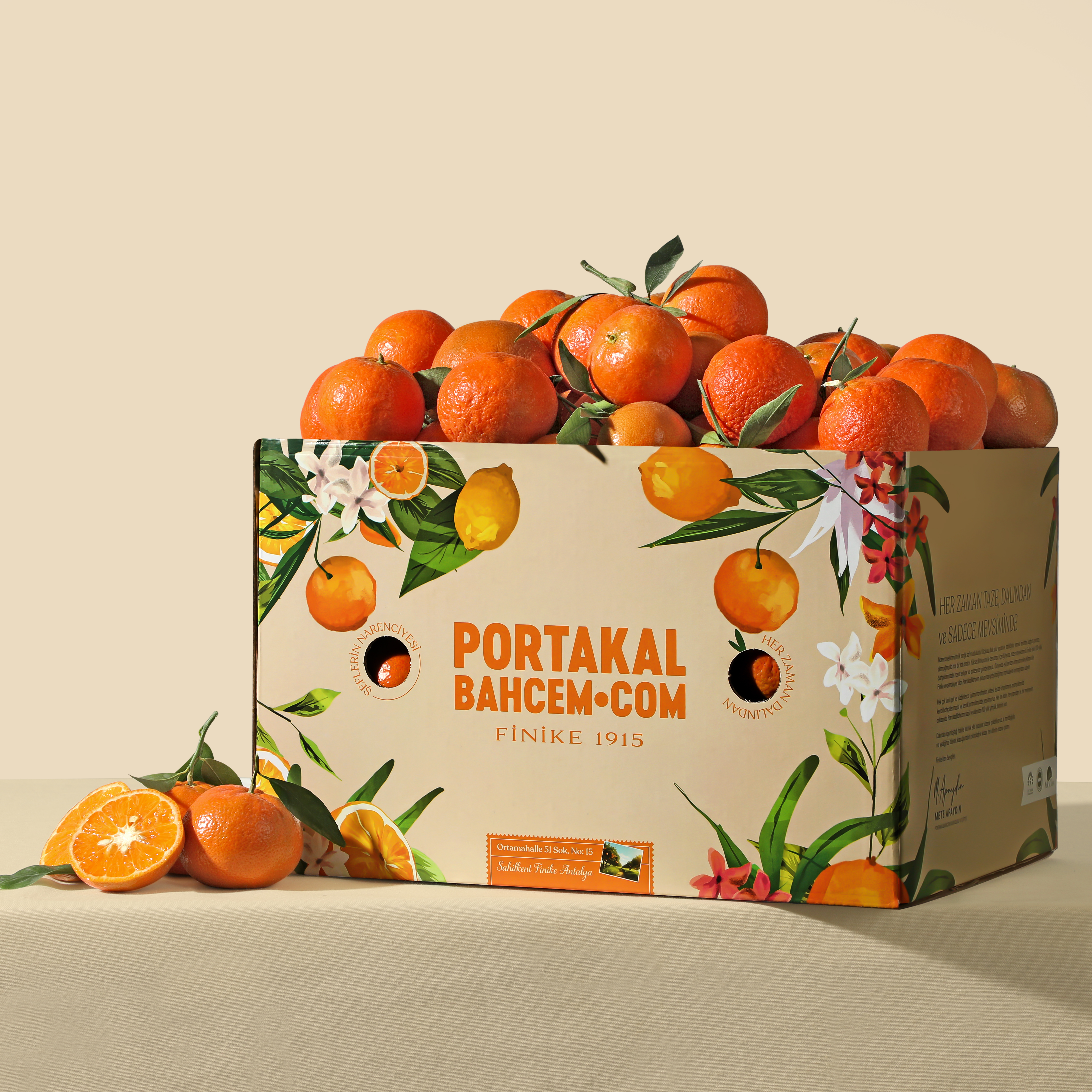 Mevsim Mandalinaları Kutusu