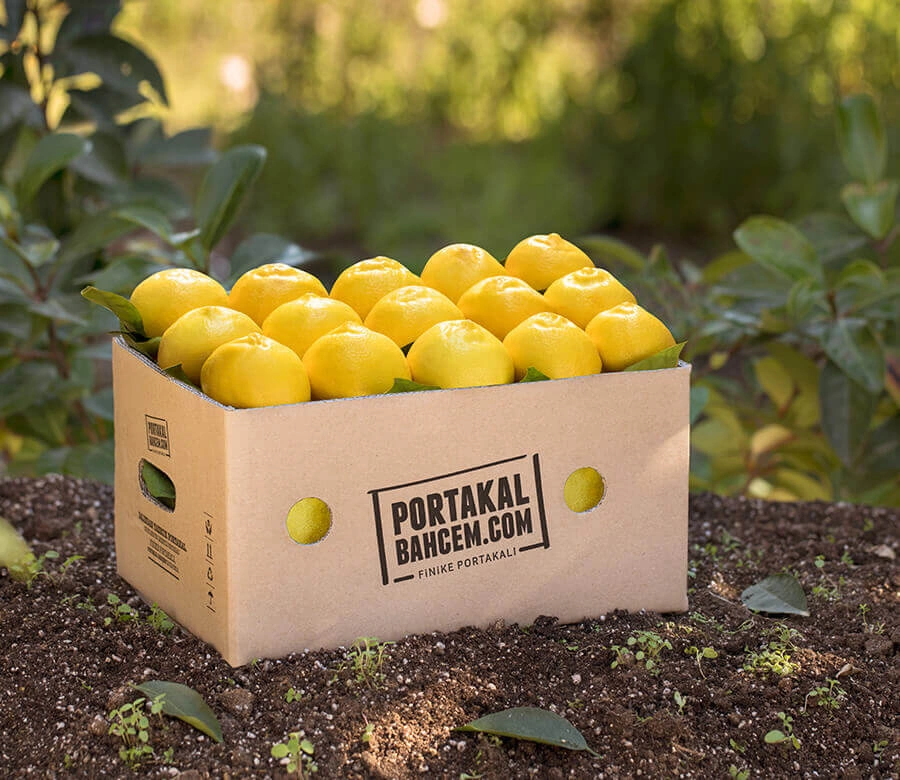 Florina Limon 1 Kg