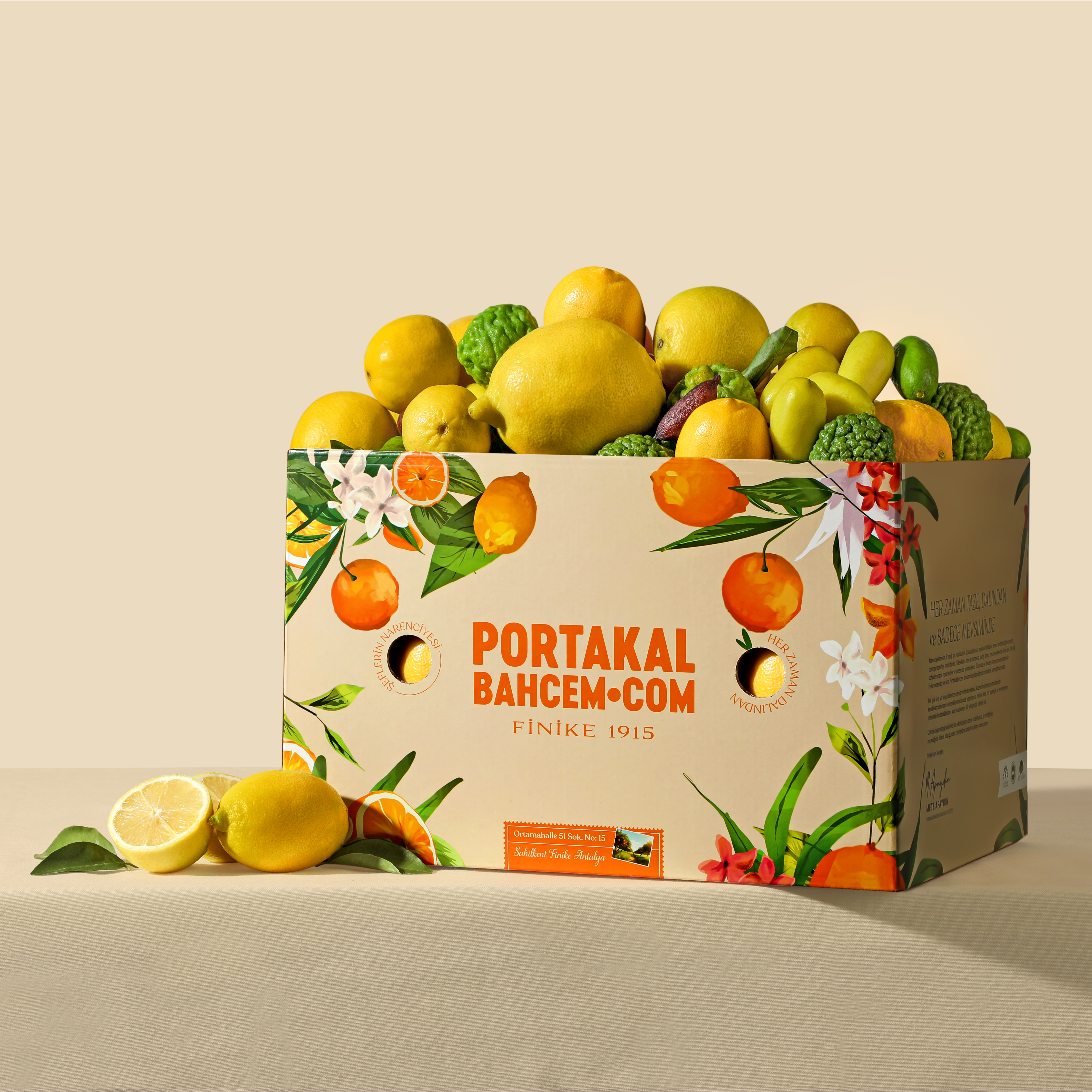 Mevsim Limonları Kutusu