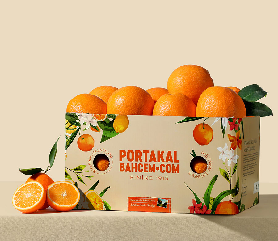 Finike Portakalı Yemelik (Washington) 3 Kg