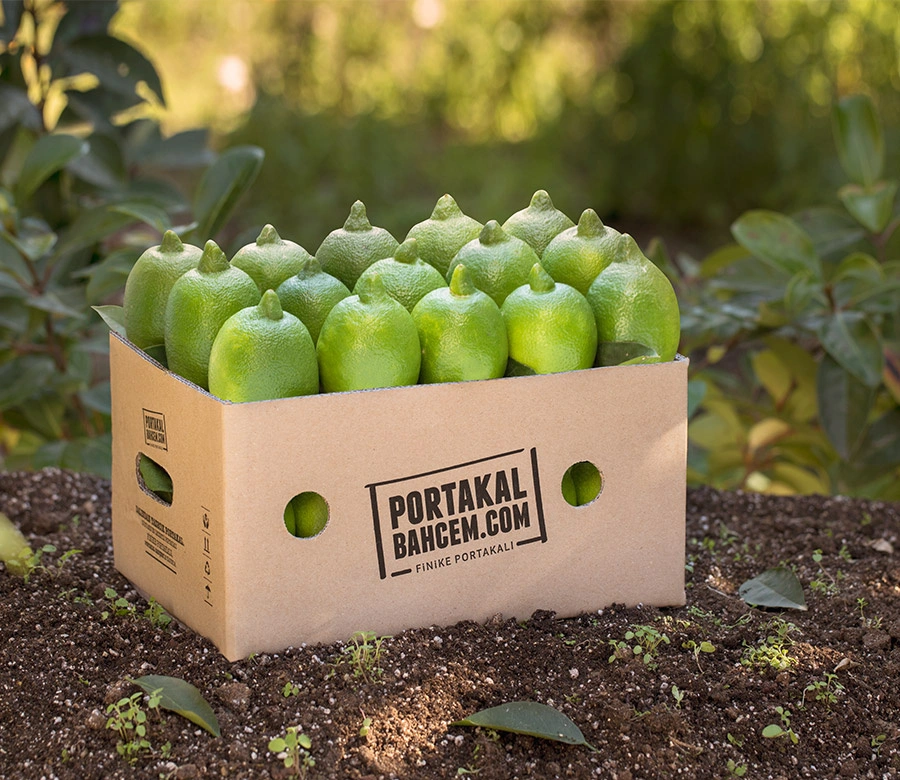 İlk Hasat Entora Limon 1 Kg