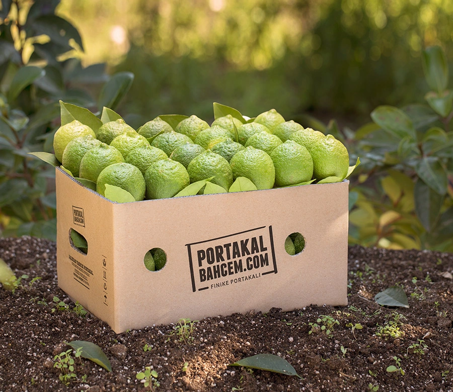 İlk Hasat Rimona Limon 3 Kg