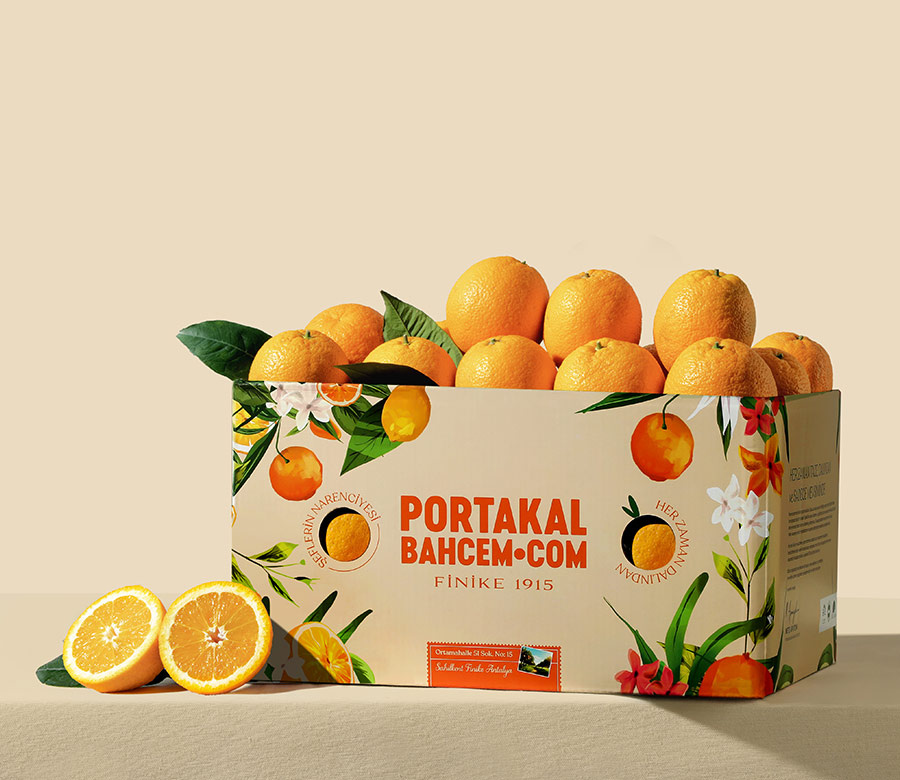 Yazlık Yemelik Portakal (Valensiya) 3 Kg