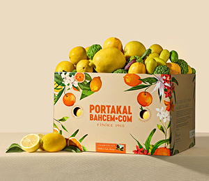Mevsim Limonları Kutusu