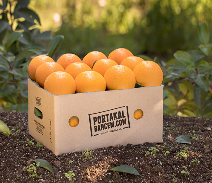 Yazlık Yemelik Portakal (Valensiya) 1 Kg