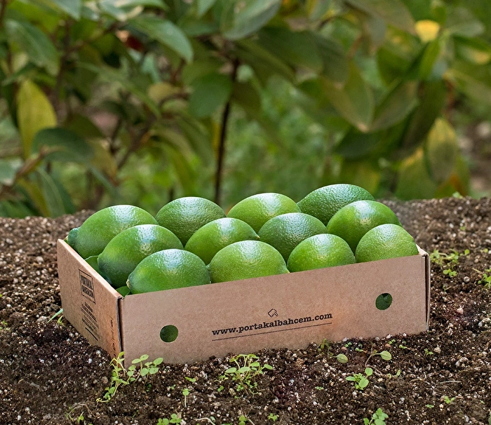 Lime 250 Gr