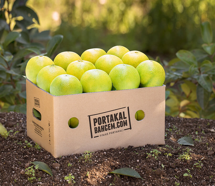 İlk Hasat Finike Portakalı Sıkmalık (Washington) 3 Kg