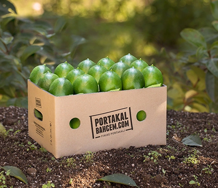 İlk Hasat Malora Limon 1 Kg