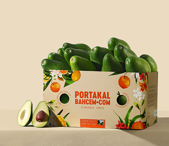 Mevsim Avokadoları Kutusu